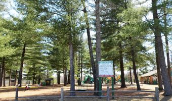 N Forest Lake Drive, Alger, MI 48610