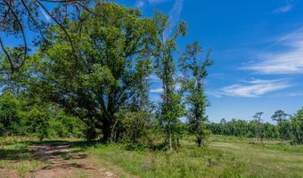 Chad Lake Rd, Alma, GA 31510