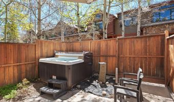 121 W Hyman Ave B, Aspen, CO 81611