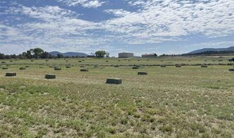 777 County Road 977, Arboles, CO 81147