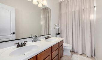 377 W DESERT BROOM Dr, Chandler, AZ 85248