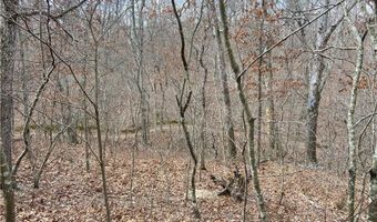 Lot 44 of Block 2 Twyford LN, Bella Vista, AR 72714