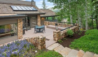 730 S Galena St, Aspen, CO 81611