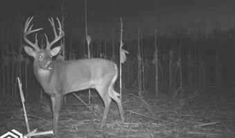 189 Th St, Albia, IA 52531