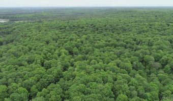 40 Acres The Grade Rd, Amasa, MI 49920
