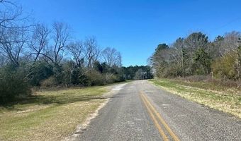 0 Tervin Mill Rd, Andalusia, AL 36421