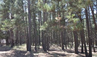 Lot 1 Block 2 Columbine Terrace, Angel Fire, NM 87710