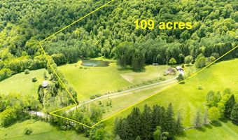 2607 Lower Dingle Hill Rd, Andes, NY 13731