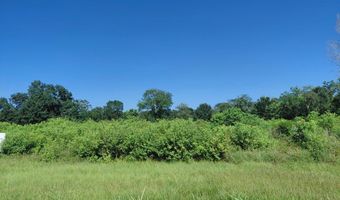 STATE HIGHWAY 288, Angleton, TX 77515