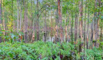133 Trailwood Cir, Bamberg, SC 29003