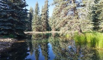 201 Golden Forest Rd, Bayfield, CO 81122