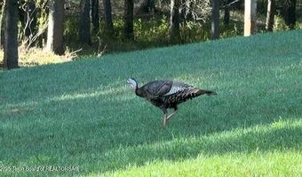 278 DELL CREEK Rd, Alpine, WY 83128