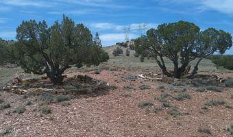 98 N9222, Concho, AZ 85924