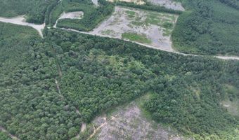 Brookwood Rd, Adger, AL 35444