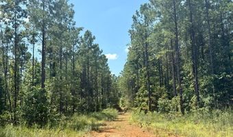 237 Co Rd 2120, Booneville, MS 38829