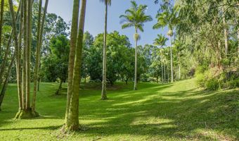 29-509 CHIN CHUCK Rd, Hakalau, HI 96710