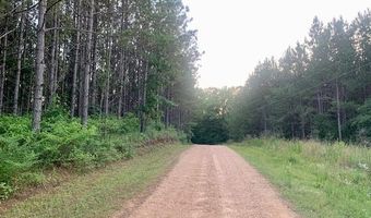 2304 Traci Loop SW, Bogue Chitto, MS 39629