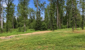 5611 Blacktail, Careywood, ID 83809