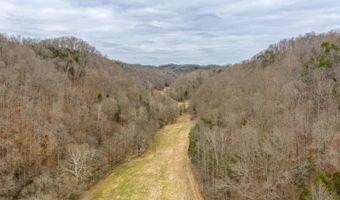 Willis Creek Rd, Albany, KY 42602