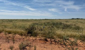 1155 SE 1630, Andrews, TX 79714