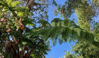 45-507 PALIKEKUA St, Honokaa, HI 96727