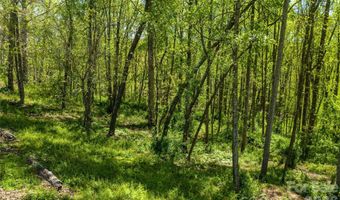 9999 Bee Balm Way 55, Asheville, NC 28804