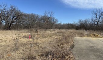 Chippewa Trail lot 130 & Lot 131, Albany, IL 61230