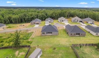 517 Madeleine Cir, Austin, AR 72007