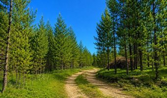Harris Rd lot 1 Tbd, Anaconda, MT 59711