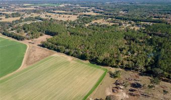 Tbd N COUNTY RD 1491, Alachua, FL 32615