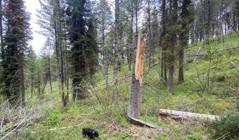 400 GROVER DRY FARM Rd, Afton, WY 83110