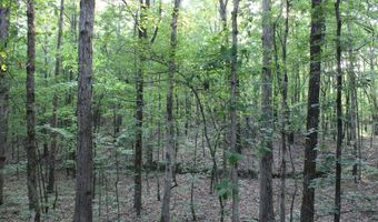 999 Whites Crossing Rd, Ashland, MS 38603