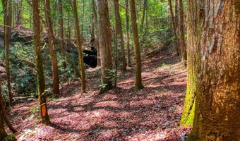 54 E Ridge Rd, Allardt, TN 38504
