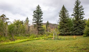 33229 Buckhorn Rd, Bellvue, CO 80512