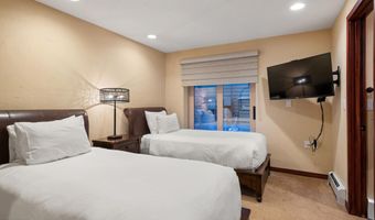 650 S Monarch St 4, Aspen, CO 81611