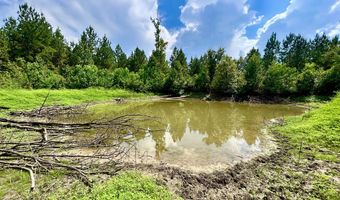 3951 MS-42, Bassfield, MS 39421