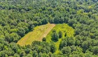 Alabama HWY 259, Alexander City, AL 35010