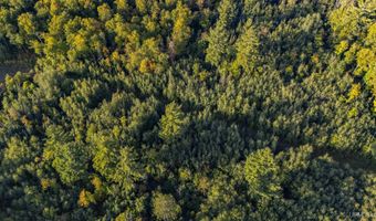 Luke Road, Amasa, MI 49903