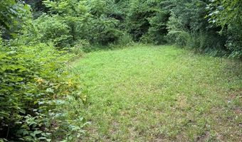 142 Avondale Rd, Asheville, NC 28803