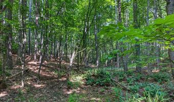 2025 Soap Creek Rd, Ball Ground, GA 30107
