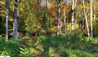 0 Scenic River Dr, Alger, MI 48610