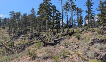 Old Camp Rd, Bellvue, CO 80512