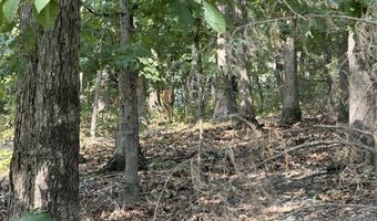 11 Dickenshire Cir Lot 11, Bella Vista, AR 72714