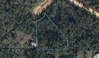 Zee Court, Alford, FL 32420