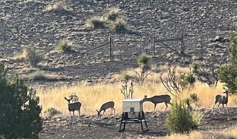 47140 Hwy 118, Alpine, TX 79830