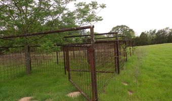 4100 Six Mile Rd N, Antlers, OK 74525