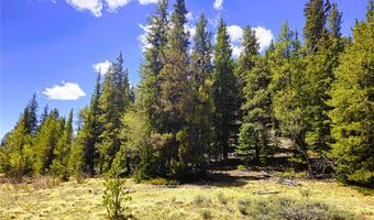 PCS # 10594 Looney Lane lot 0, Alma, CO 80420