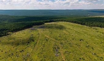 N 4295 Road, Antlers, OK 74567