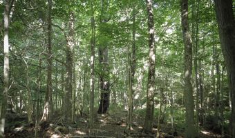 225 Waldo Ave, Belfast, ME 04915