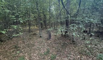 Michael Drive, Alger, MI 48610